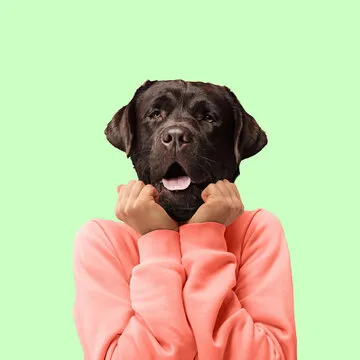 资深赛事分析师